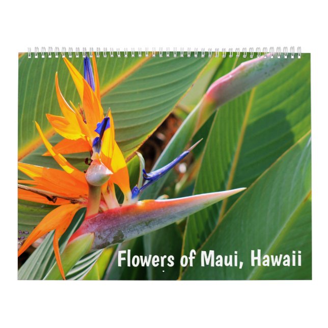 Calendário Flores de Maui Hawaii (Capa)