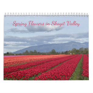 Calendário Flores de Primavera no Vale de Skagit, Estado de W