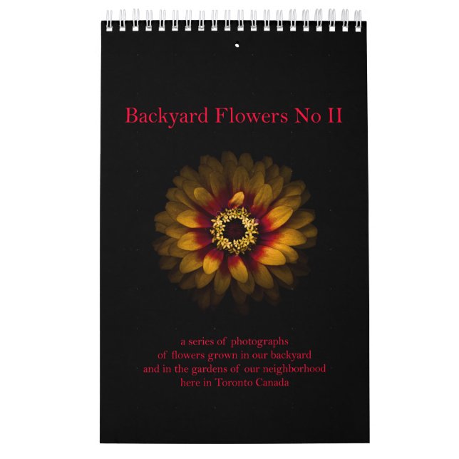 Calendário Flores de quintal n.o II (Capa)