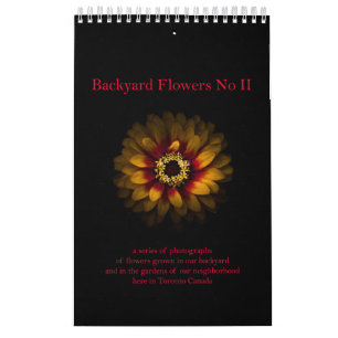 Calendário Flores de quintal n.o II