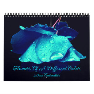 Calendário Flores De Uma Cor Diferente