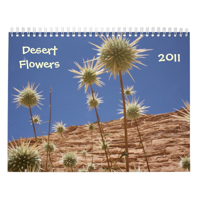 Calendário Flores do deserto de Sinai (Capa)