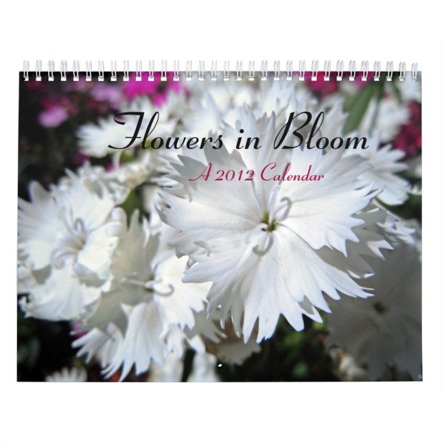Calendário Flores na flor (Capa)