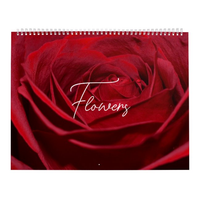 Calendário Flores na Natureza (Capa)