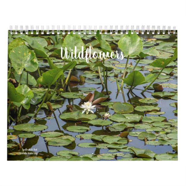 Calendário Flores selvagens (Capa)