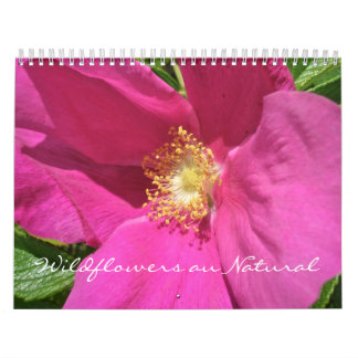 Calendário - Flores selvagens au Natural