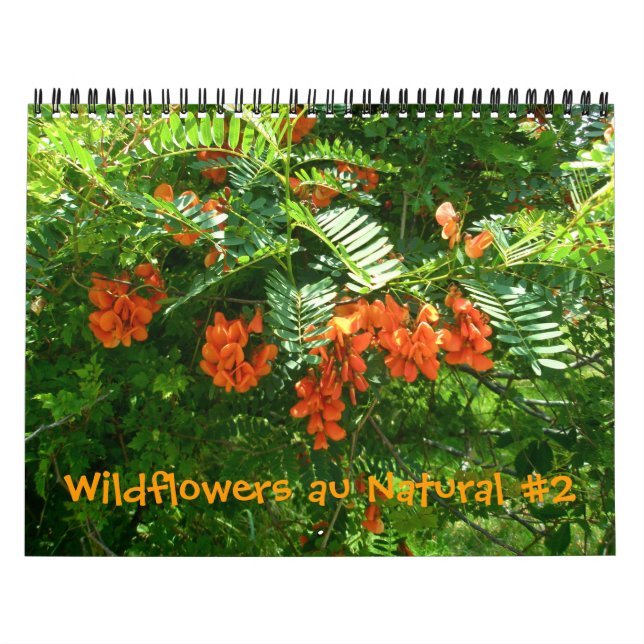 Calendário - Flores selvagens au Natural #2 (Capa)