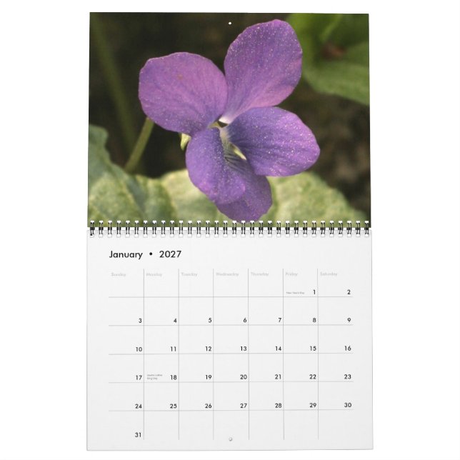 Calendário Flores Selvagens, da Trilha de Ocmulgee (Jan 2027)