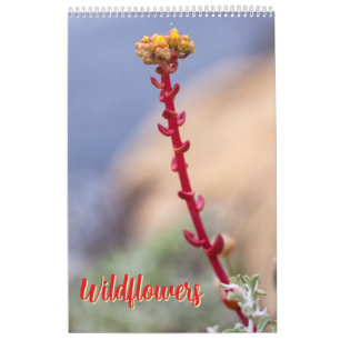 Calendário Flores silvestres