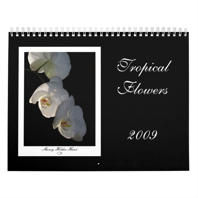 Calendário Flores tropicais 2009 (Capa)