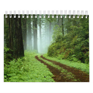 Calendário Floresta