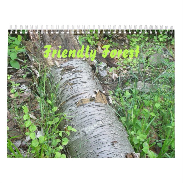 Calendário - Floresta Amigável (Capa)