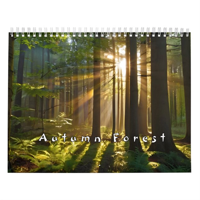 Calendário Floresta de outono com feixes de sol (Capa)