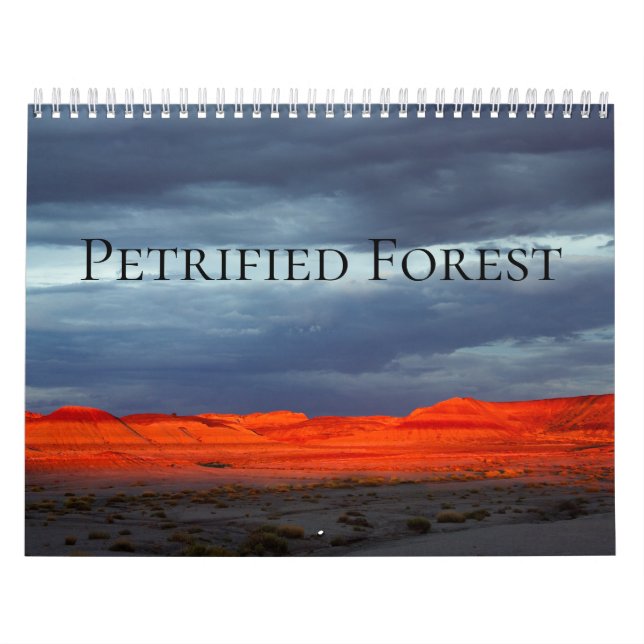 Calendário Floresta Petrificada (Capa)
