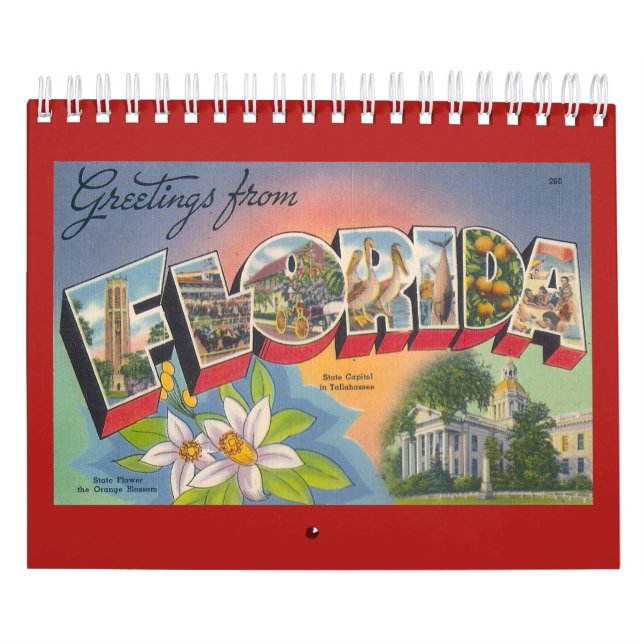 Calendário FLORIDA, um ano do vintage (Capa)