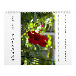 CALENDÁRIO FLOWERS AND SHADOW FAIRIES 2026 CALENDAR