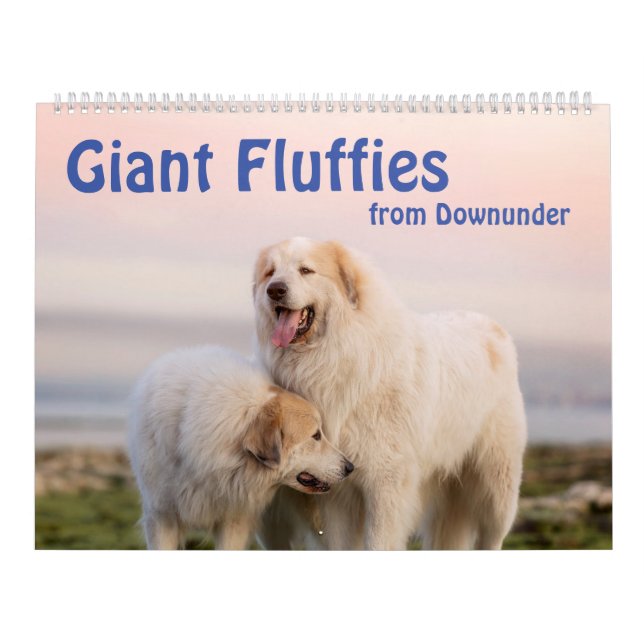 Calendário Fluffy Gigante (Capa)