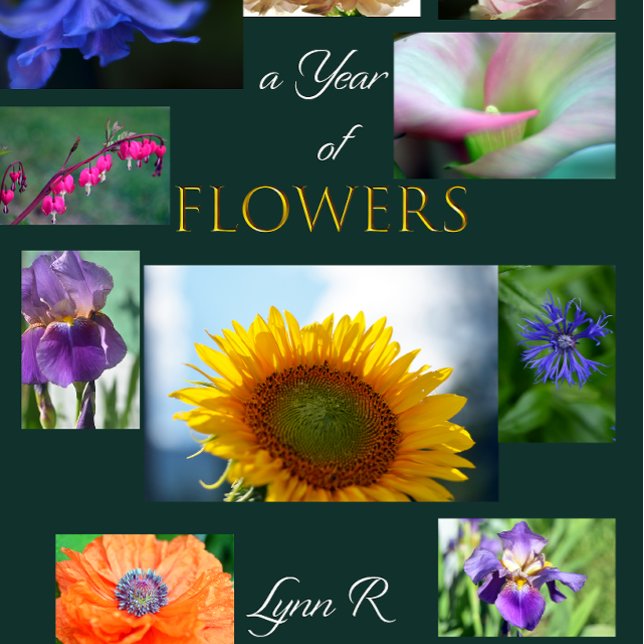 Calendário FLUXO (Criador carregado)