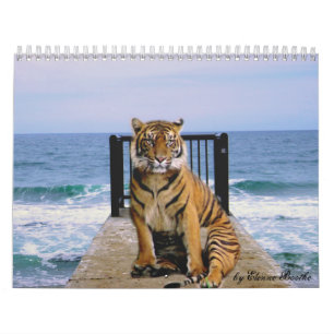 Calendário Foco & Força_2010 de Elenne Boothe