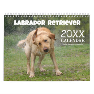 Calendário Fofo de Labrador Retriever Amarelo 2026