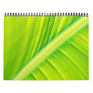 Calendário folha de bananas verde