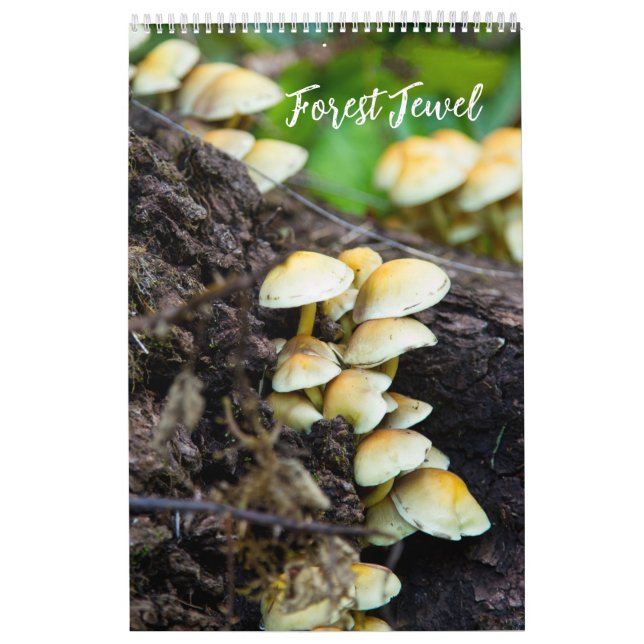 Calendário Forest Mushrooms Calendar (Capa)