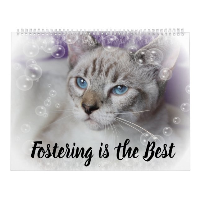 CALENDÁRIO FOSTERING KITTENS IS THE BEST (Capa)