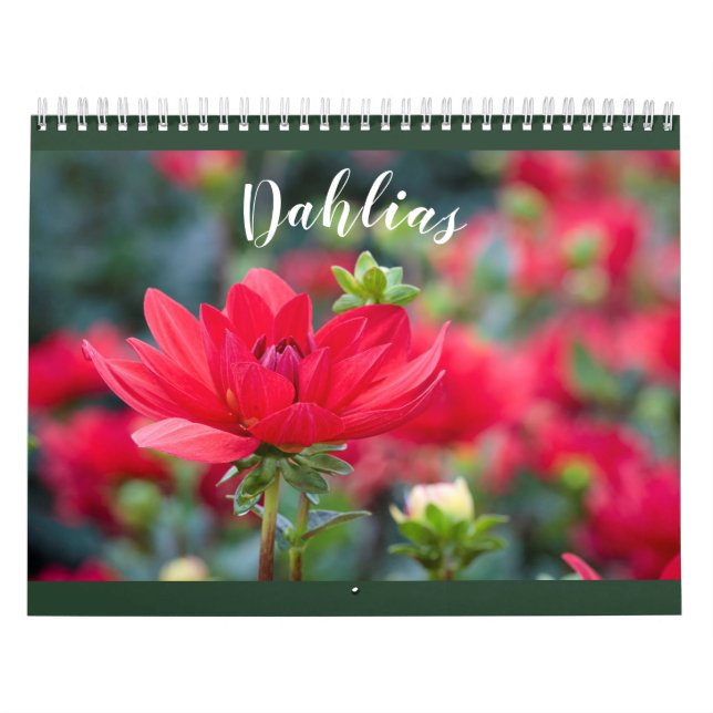 Calendário Foto Colorida Dahlia 2021 Flor (Capa)