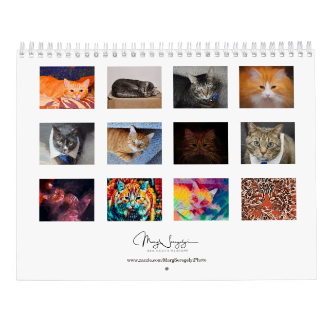Calendário Foto de Gatos Frescos Design 2023 Mensal
