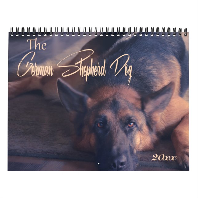 Calendário Foto de German shepherd linda (Capa)