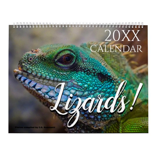 Calendário Foto de Lagarto Natureza 2027 Parede  (Capa)