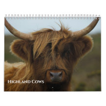 Foto de Vaca Highland Amada 2027