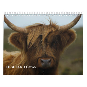 Calendário Foto de Vaca Highland Amada 2027