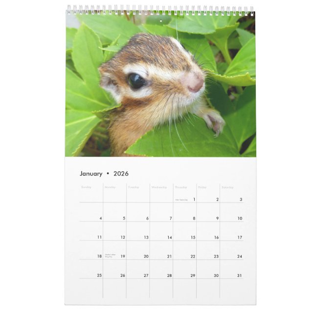 Calendário Foto do Chipmunk (4) (Jan 2026)