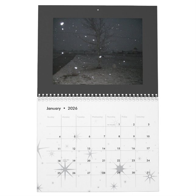 Calendário Fotografia 2009 do punk (Jan 2026)