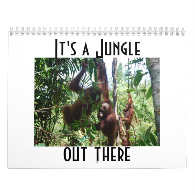 Calendário Fotografia Animal Orangutan (Capa)