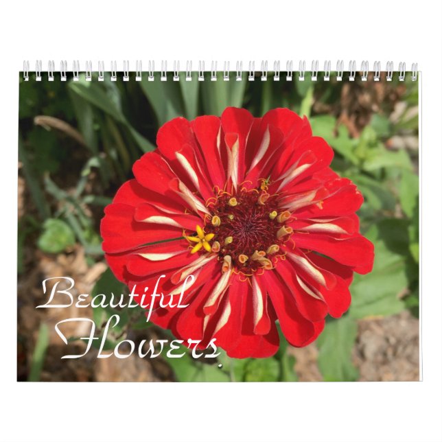 Calendário Fotografia Belos Flores (Capa)