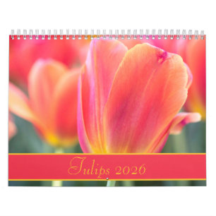 Calendário Fotografia Colorida das Tulipas 2021