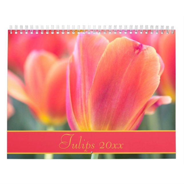 Calendário Fotografia Colorida de Tulips (Capa)
