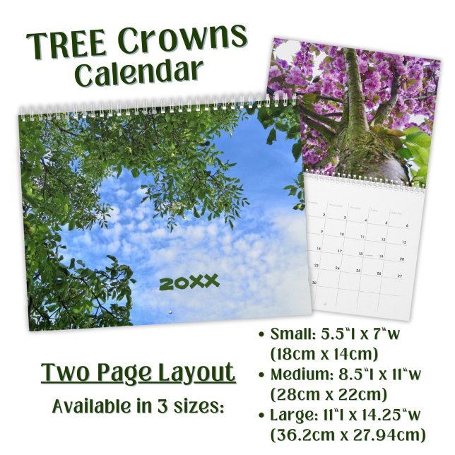 Calendário Fotografia da Coroa de Árvore Botânica (Criador carregado)