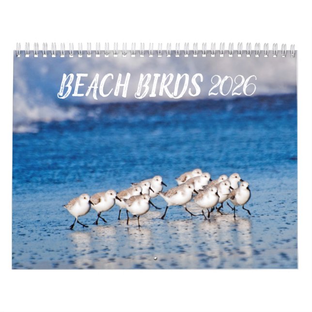 Calendário Fotografia de 2021 Beach Birds (Capa)