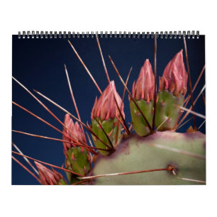Calendário Fotografia de Belas Artes de Cactos e Suculentes