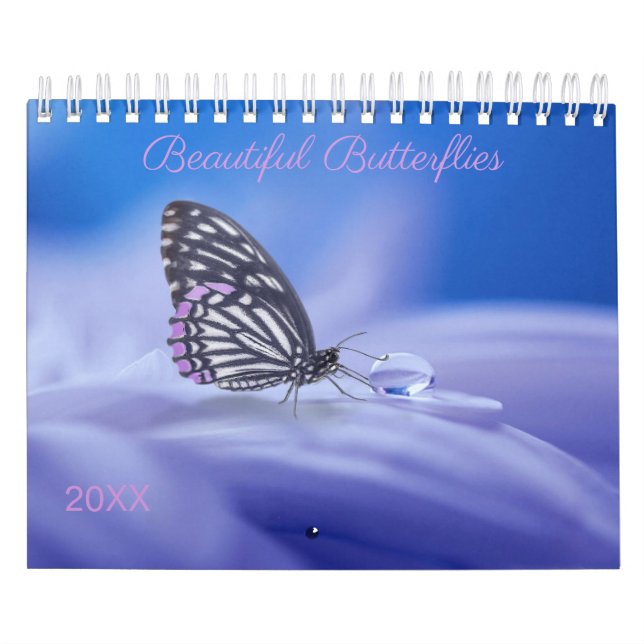 Calendário Fotografia de borboletas lindas (Capa)