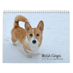 Calendário Fotografia de Cachorro Cute Welsh Corgi 2027 na Pa