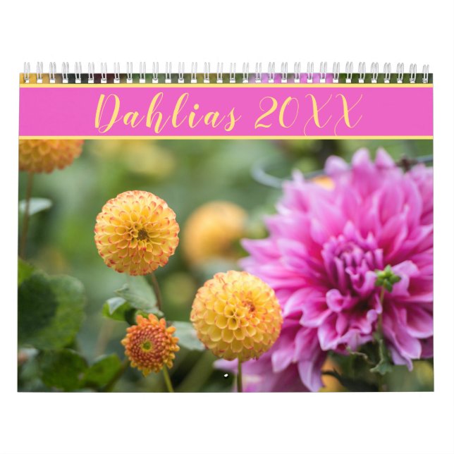 Calendário Fotografia de Dahlia (Capa)