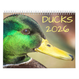 Calendário Fotografia de Duck Wildlife