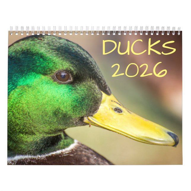 Calendário Fotografia de Duck Wildlife (Capa)