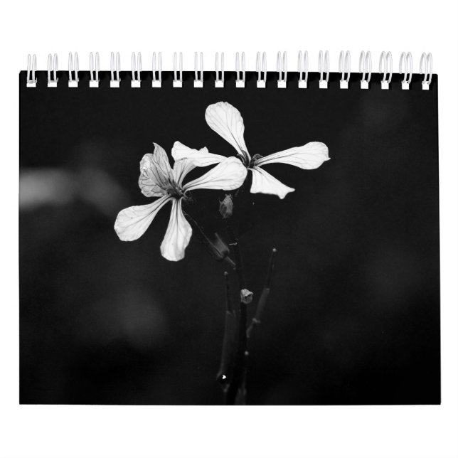 Calendário Fotografia de flores em preto e branco (Capa)