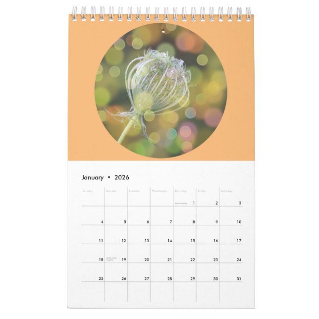 Calendário Fotografia de Flores Selvagens (Jan 2026)