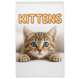 Calendário Fotografia de Gato Aconchegante | Parede de Gato F